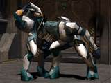 Gay Halo Elite