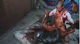 Zombie gay asiatique Gay porno