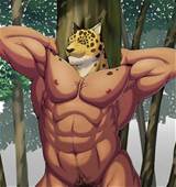 Nu roi du jeu Tekken Muscle sympa Bara Stud Isn T He
