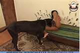 Extreme sexe Animal Sex Animal porno