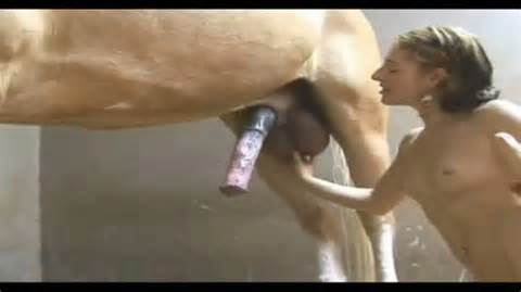 Joue avec un cheval bestialitÃ© animale porno cheval baise extrait 1