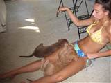 Beastiality Videos Animal Porn galeries
