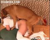 Animal Porn Beastiality chien Fuck