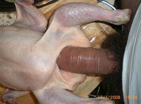 WTF Thanksgiving Turquie Sex Toy Fleshlight Fleshone Com