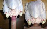 WTF Thanksgiving Turquie Sex Toy Fleshlight Fleshone Com