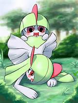 Ralts et Kirlia seul dans les bois Poke MF