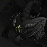 Xenomorphs 11 Xenomorphs Furries images Hentai pulpeuse 10248 Jpg