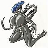 Xenomorph Porn 16 Xenomorph porno 17 Xenomorph Porn 18 Xenomorph Porn