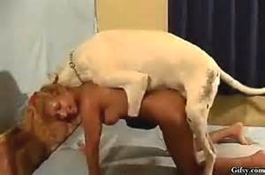 GIFSY sexe Gif Anime 3D adulte Animation Animation porno