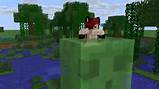 Image 1666896 Mine Imator Minecraft animation Flamingono