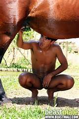 BeastMale porno Com la plus aimable couplÃ© avec usÃ©s Gay de qualitÃ©