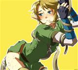 Lien vers The Legend Of Zelda